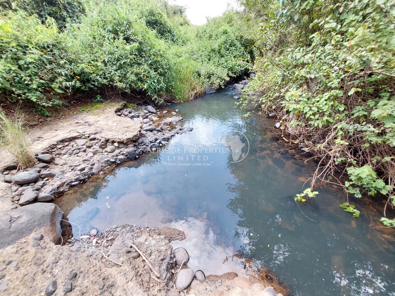 𝐏𝐫𝐢𝐦𝐞 𝟓𝟎 𝐀𝐜𝐫𝐞𝐬 𝐟𝐨𝐫 𝐒𝐚𝐥𝐞 – 𝐍𝐚𝐫𝐮𝐦𝐨𝐫𝐨, 𝐋𝐮𝐬𝐨𝐢 𝐀𝐫𝐞𝐚