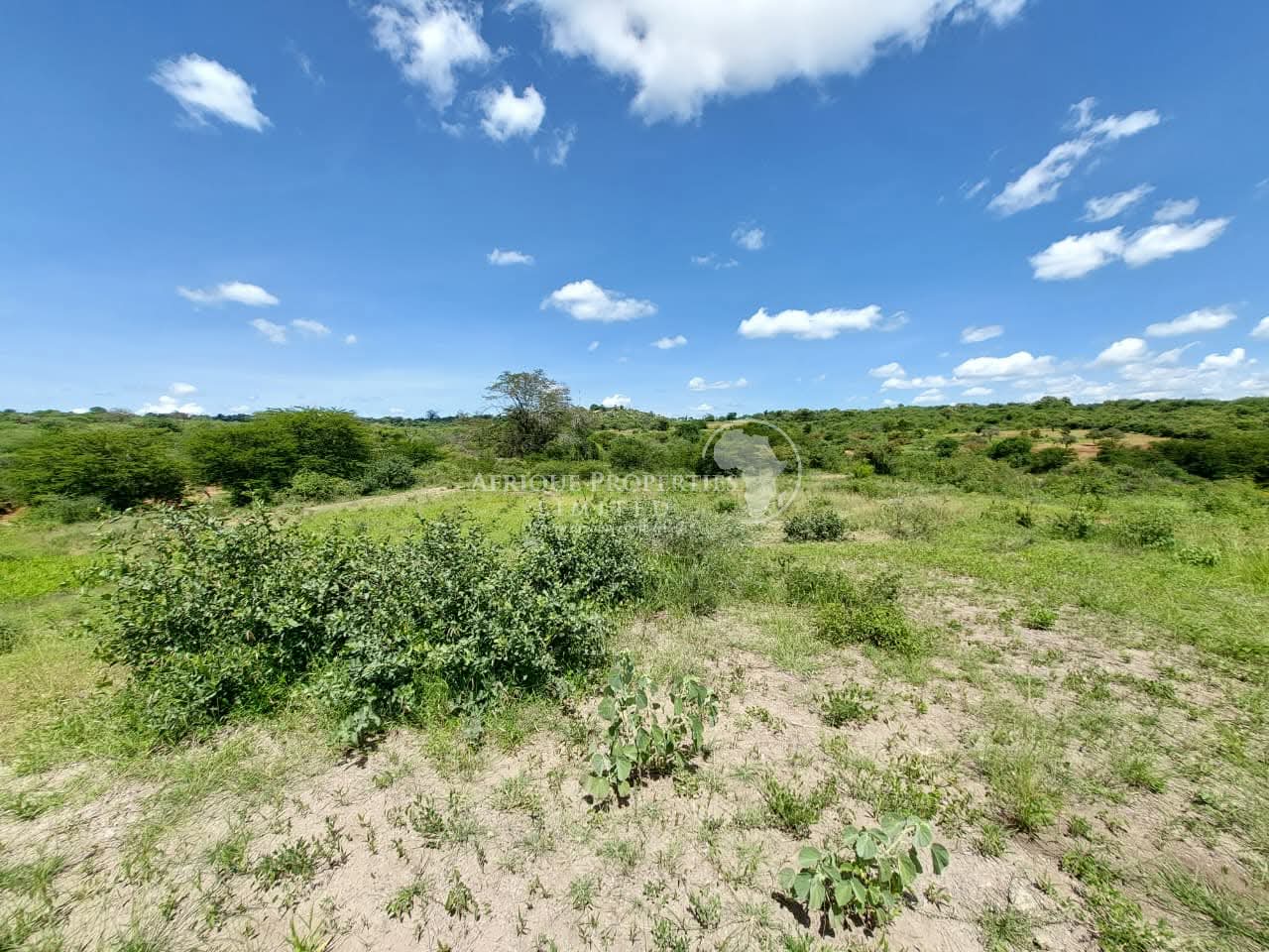 𝐏𝐫𝐢𝐦𝐞 𝟏𝟎𝟎 𝐀𝐜𝐫𝐞𝐬 𝐀𝐠𝐫𝐢𝐜𝐮𝐥𝐭𝐮𝐫𝐚𝐥 𝐋𝐚𝐧𝐝 𝐟𝐨𝐫 𝐒𝐚𝐥𝐞 𝐢𝐧 𝐄𝐦𝐛𝐮 – 𝐓𝐨𝐮𝐜𝐡𝐢𝐧𝐠 𝐚 𝐑𝐢𝐯𝐞𝐫.