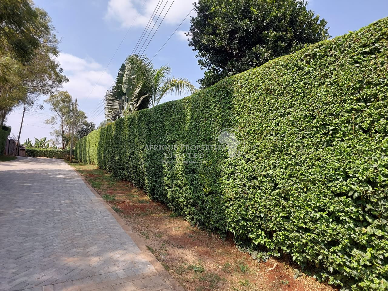 𝐏𝐫𝐢𝐦𝐞 ½ 𝐀𝐜𝐫𝐞 𝐅𝐫𝐞𝐞𝐡𝐨𝐥𝐝 𝐏𝐥𝐨𝐭𝐬 𝐅𝐨𝐫 𝐒𝐚𝐥𝐞 𝐢𝐧 𝐚 𝐆𝐚𝐭𝐞𝐝 & 𝐒𝐞𝐜𝐮𝐫𝐞 𝐄𝐬𝐭𝐚𝐭𝐞 𝐢𝐧 𝐊𝐢𝐚𝐦𝐛𝐮 𝐑𝐨𝐚𝐝