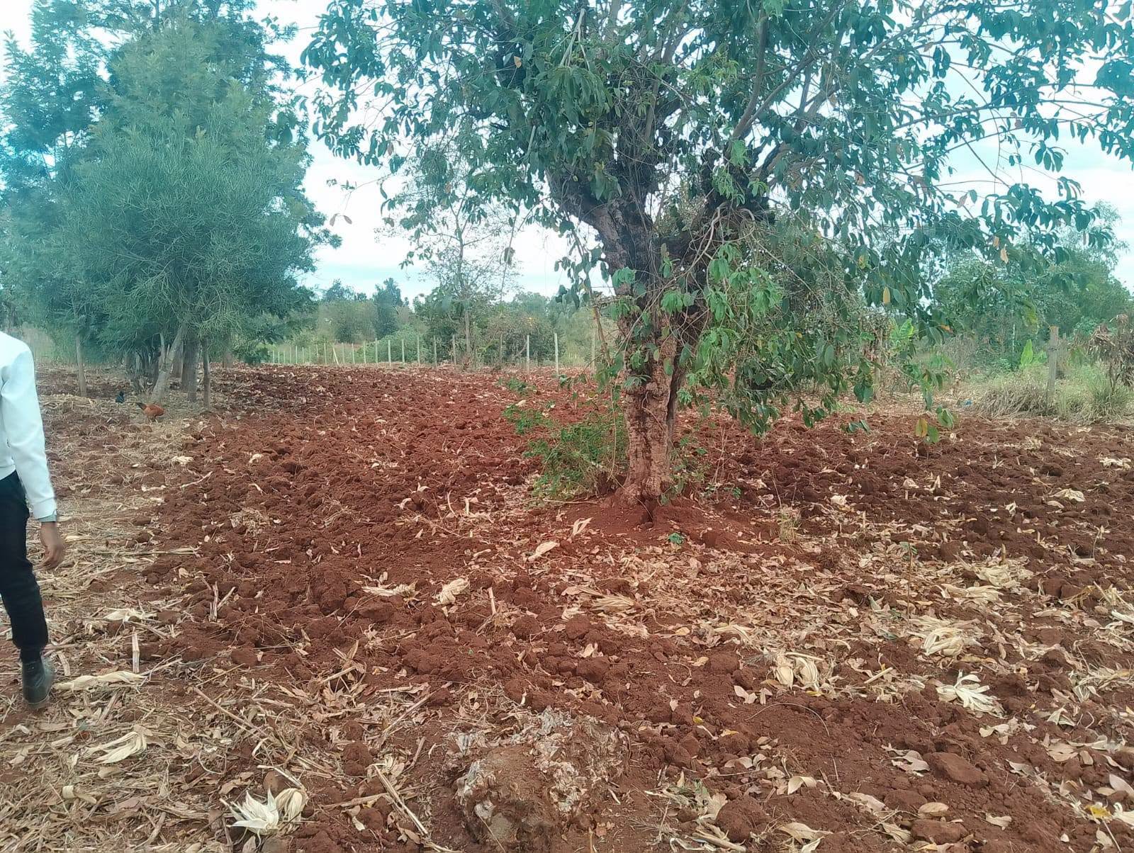 0.26 Hectares Prime Residential Plot for Sale – Rukanga, Near Makutano Image