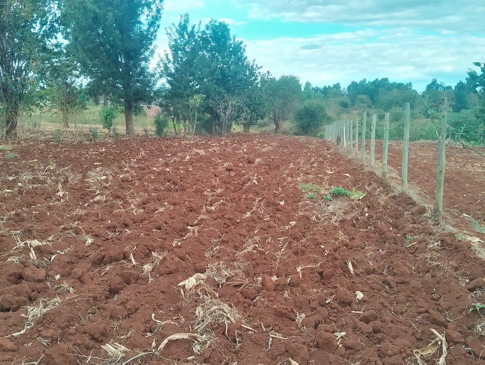 0.26 Hectares Prime Residential Plot for Sale – Rukanga, Near Makutano