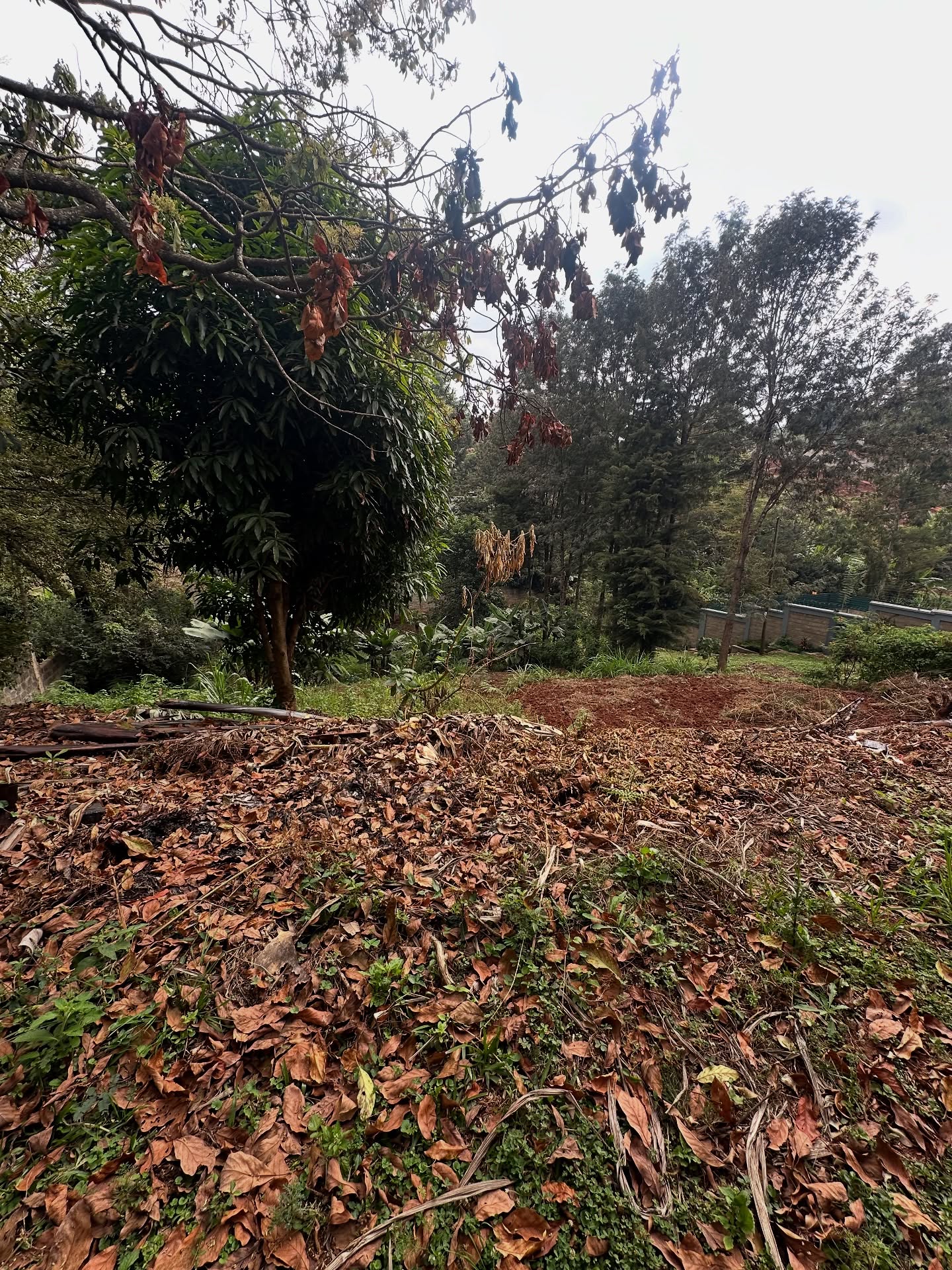 0.37 acre plot for sale in Kitisuru, Off Kirawa road Image
