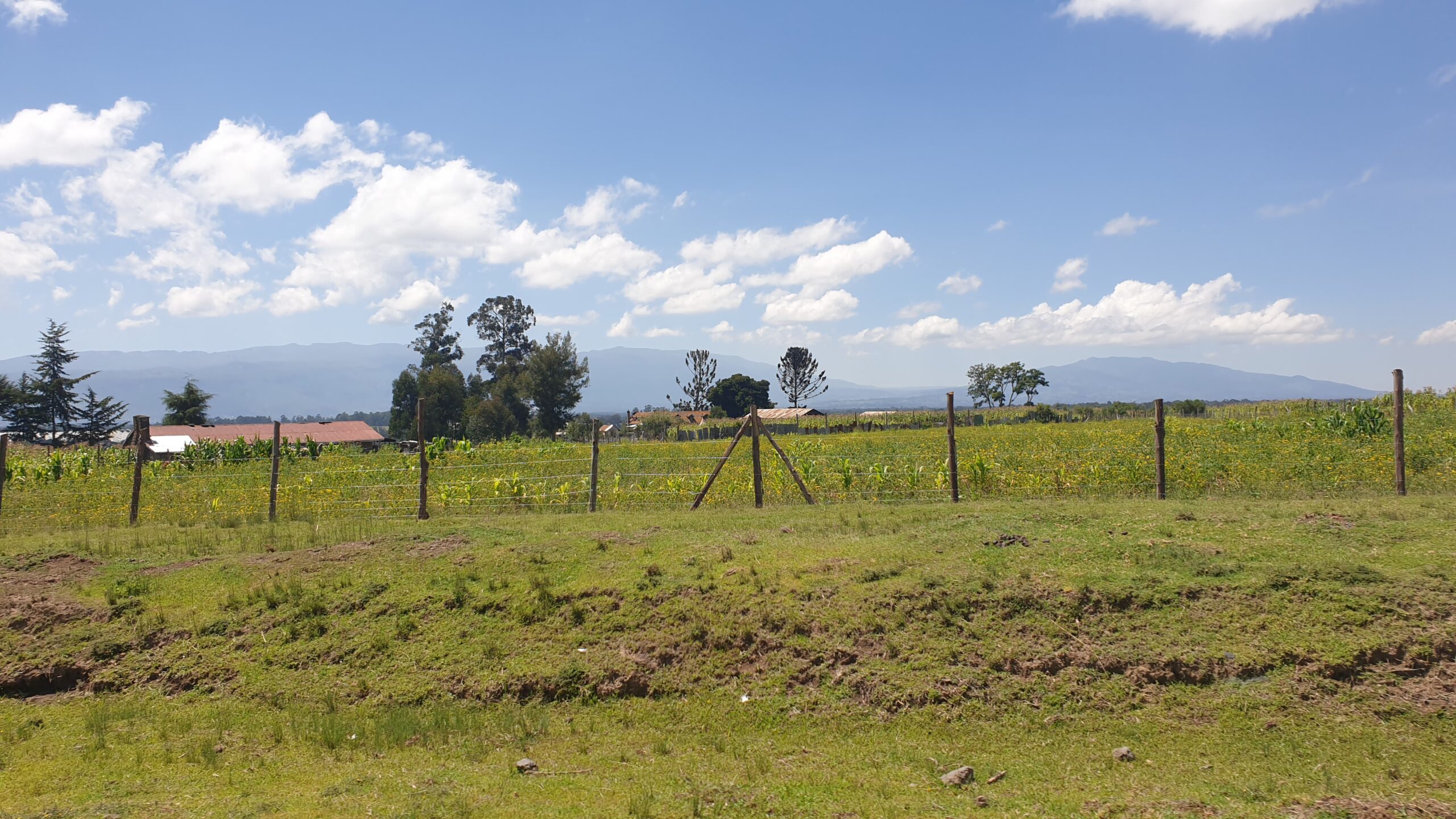 0.6 Acres for Sale Fronting Ol Kalou–Njabini Tarmac Road Image