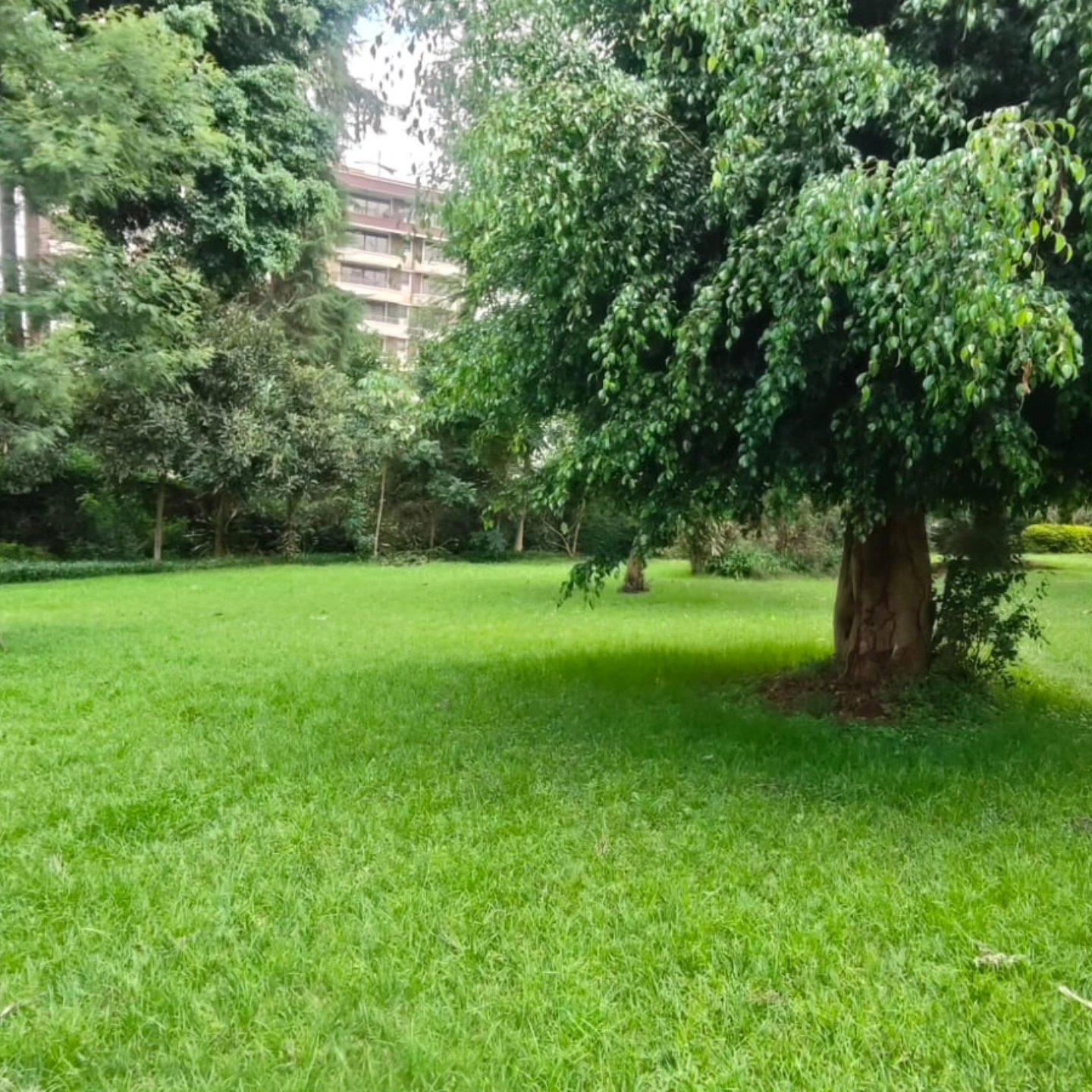0.8 Acre Corner Plot for Sale – Riverside