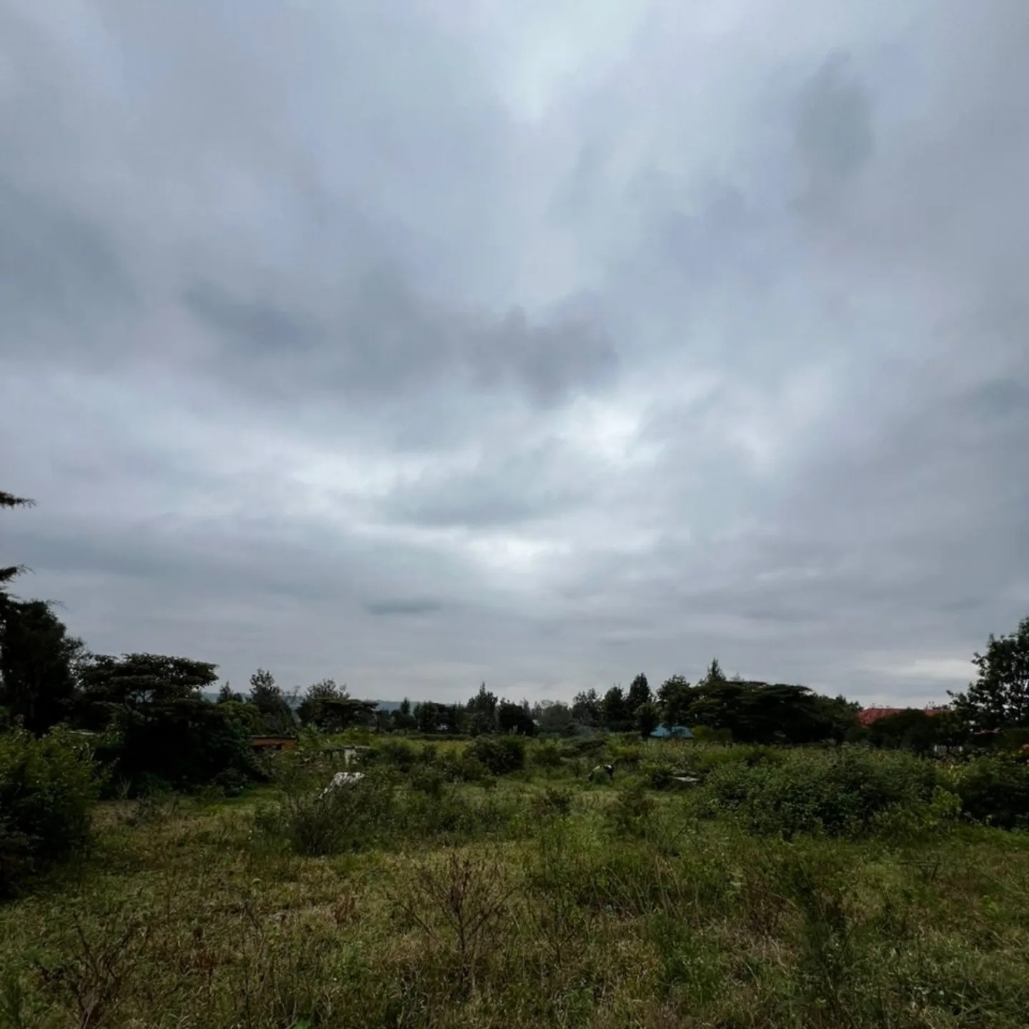 0.8 Acre Land For Sale in Ngong Olkeri