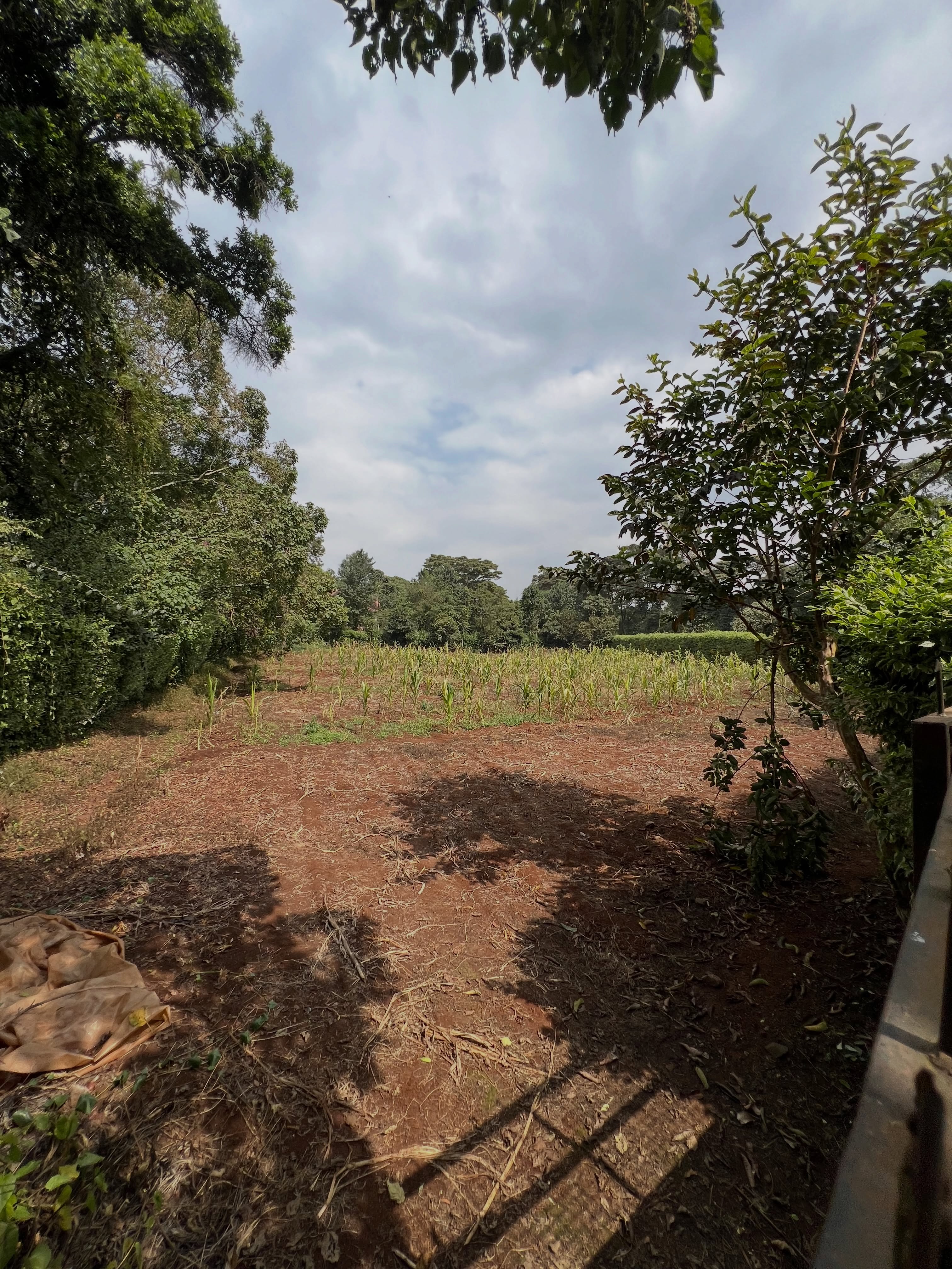 0.9acre land for sale in tigoni limuru Image