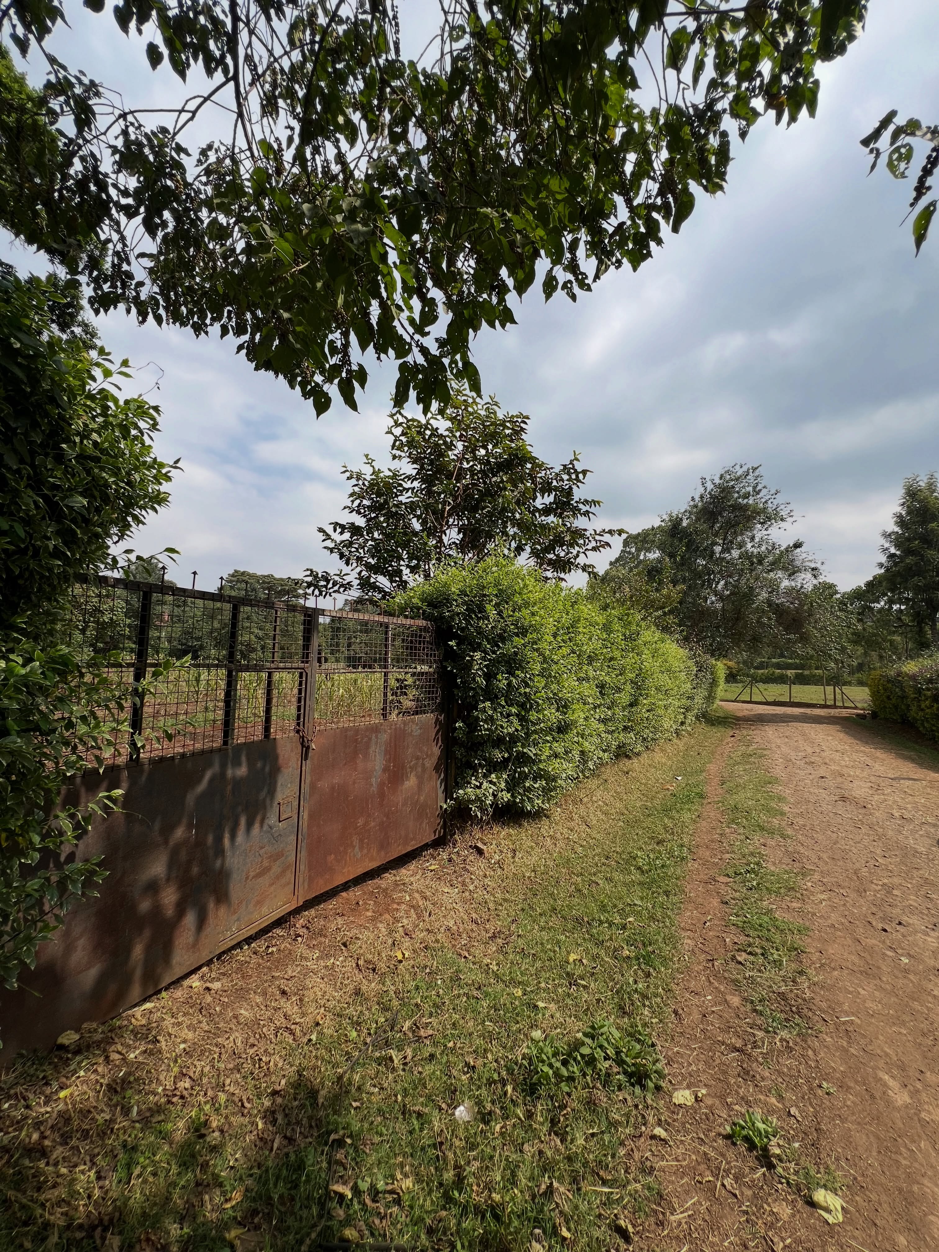 0.9acre land for sale in tigoni limuru