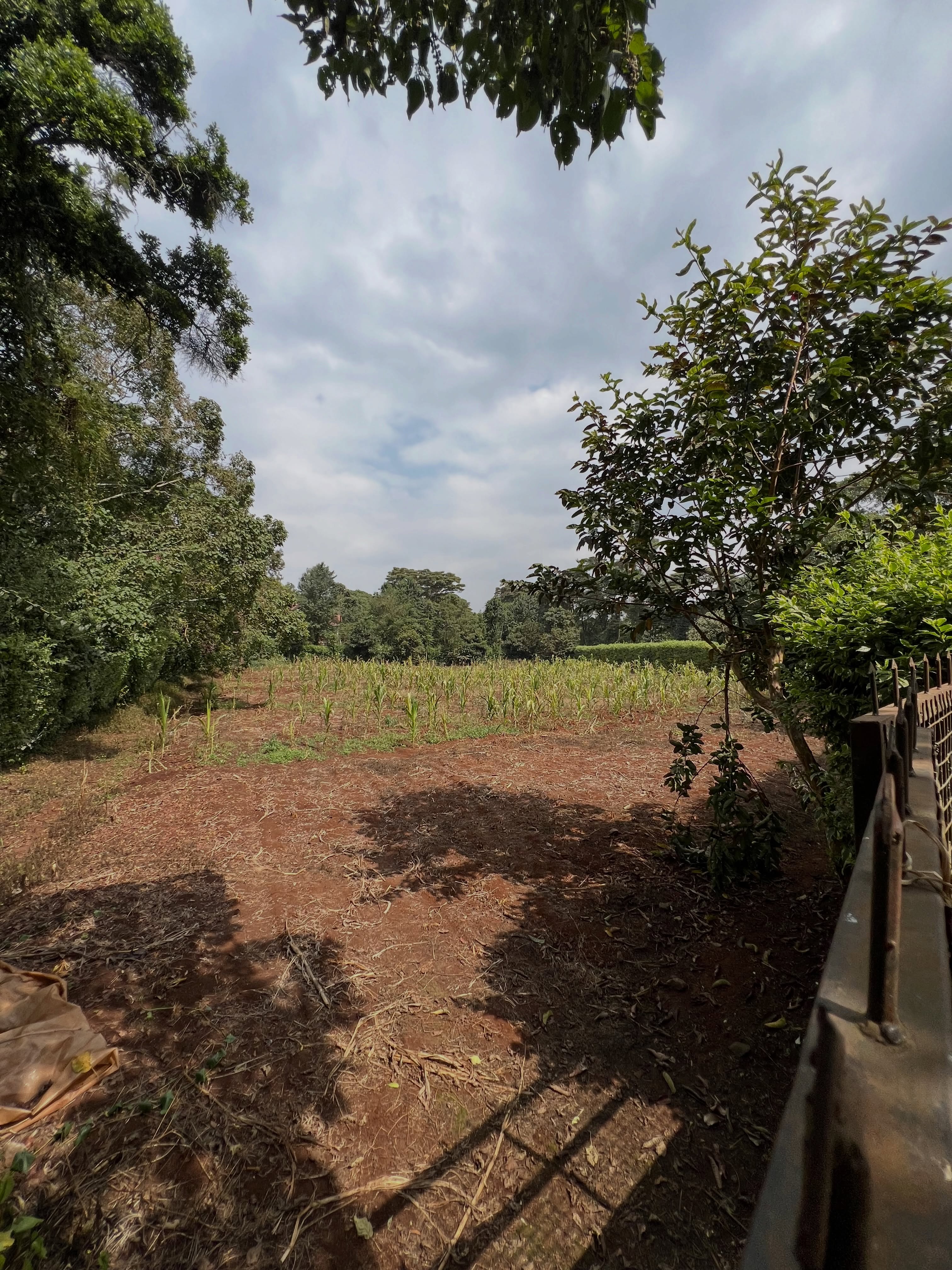 0.9acre land for sale in tigoni limuru Image