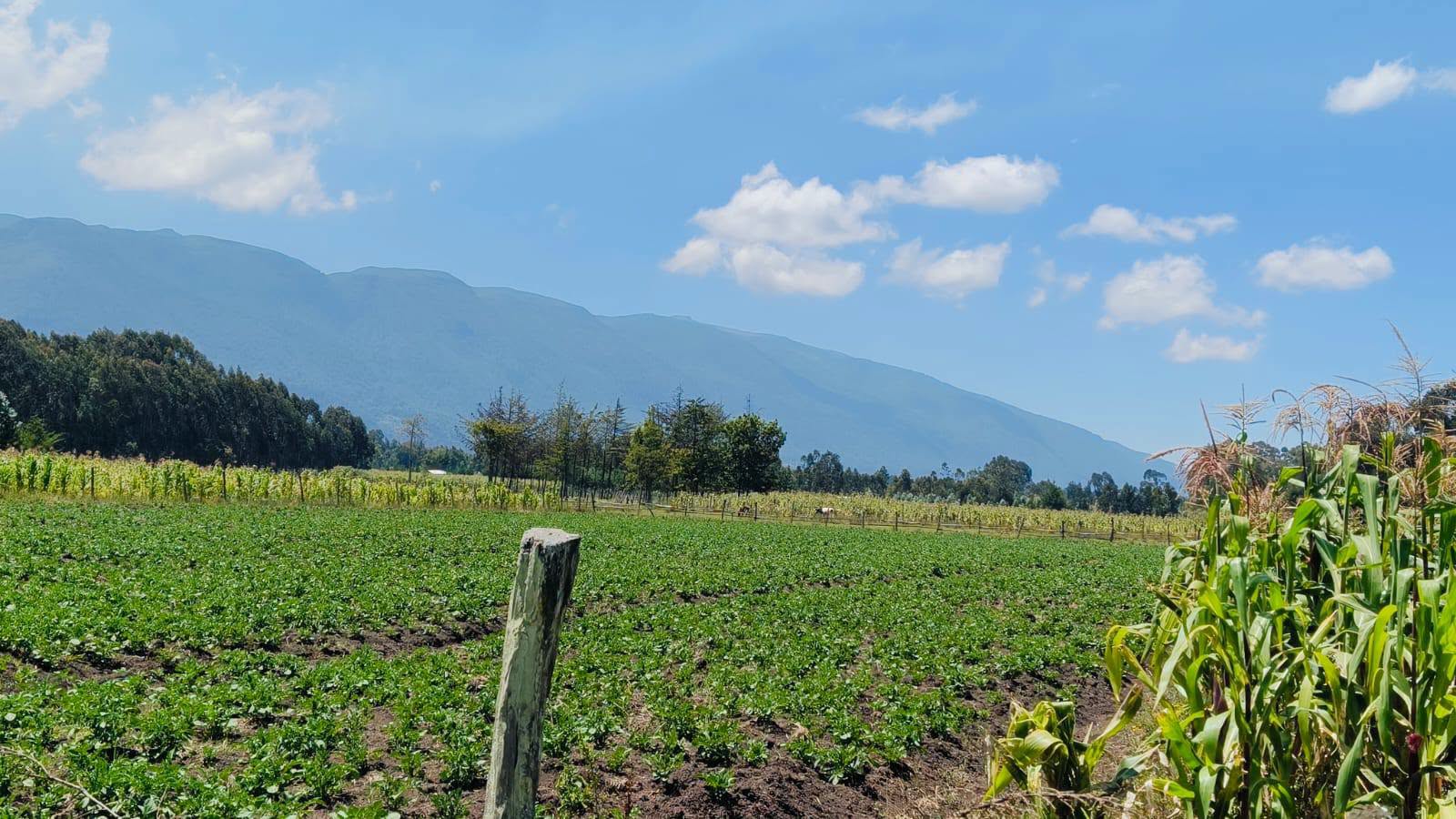 1 acre agricultural alnd for sale in kipipiri, wanjohi