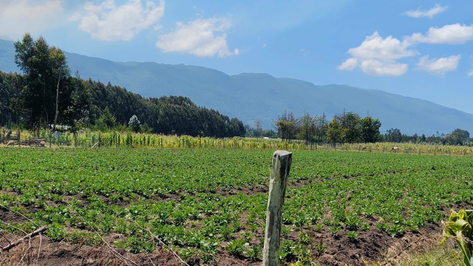 1 acre agricultural alnd for sale in kipipiri, wanjohi Image
