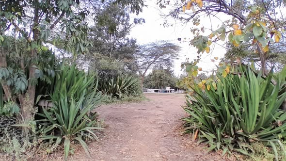 1 acre for sale in Karen, Hardy