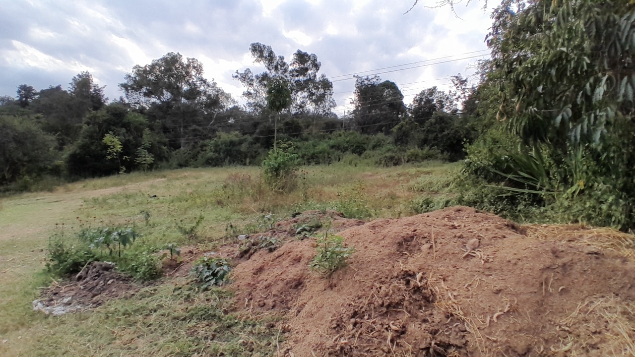 1 acre for sale in Karen, Hardy Image