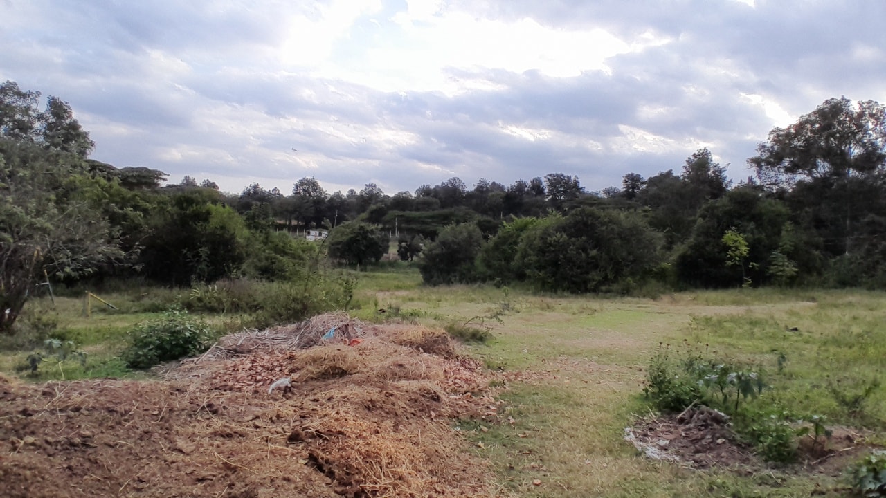 1 acre for sale in Karen, Hardy Image