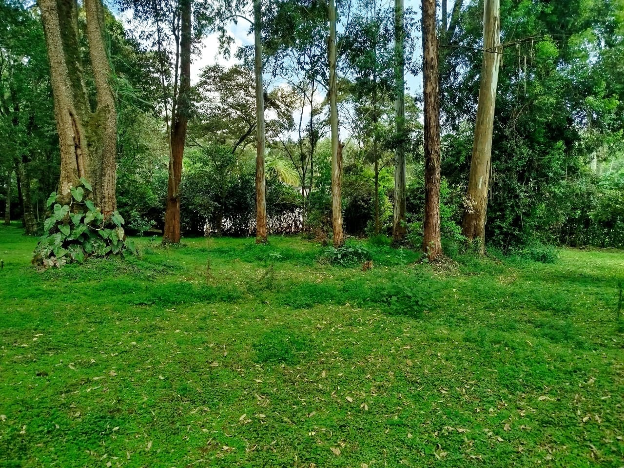 1 Acre Freehold Land for Sale in Karen, Mwitu Road