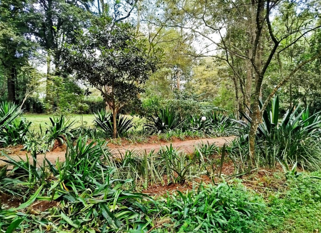 1 Acre Freehold Land for Sale in Karen, Mwitu Road Image