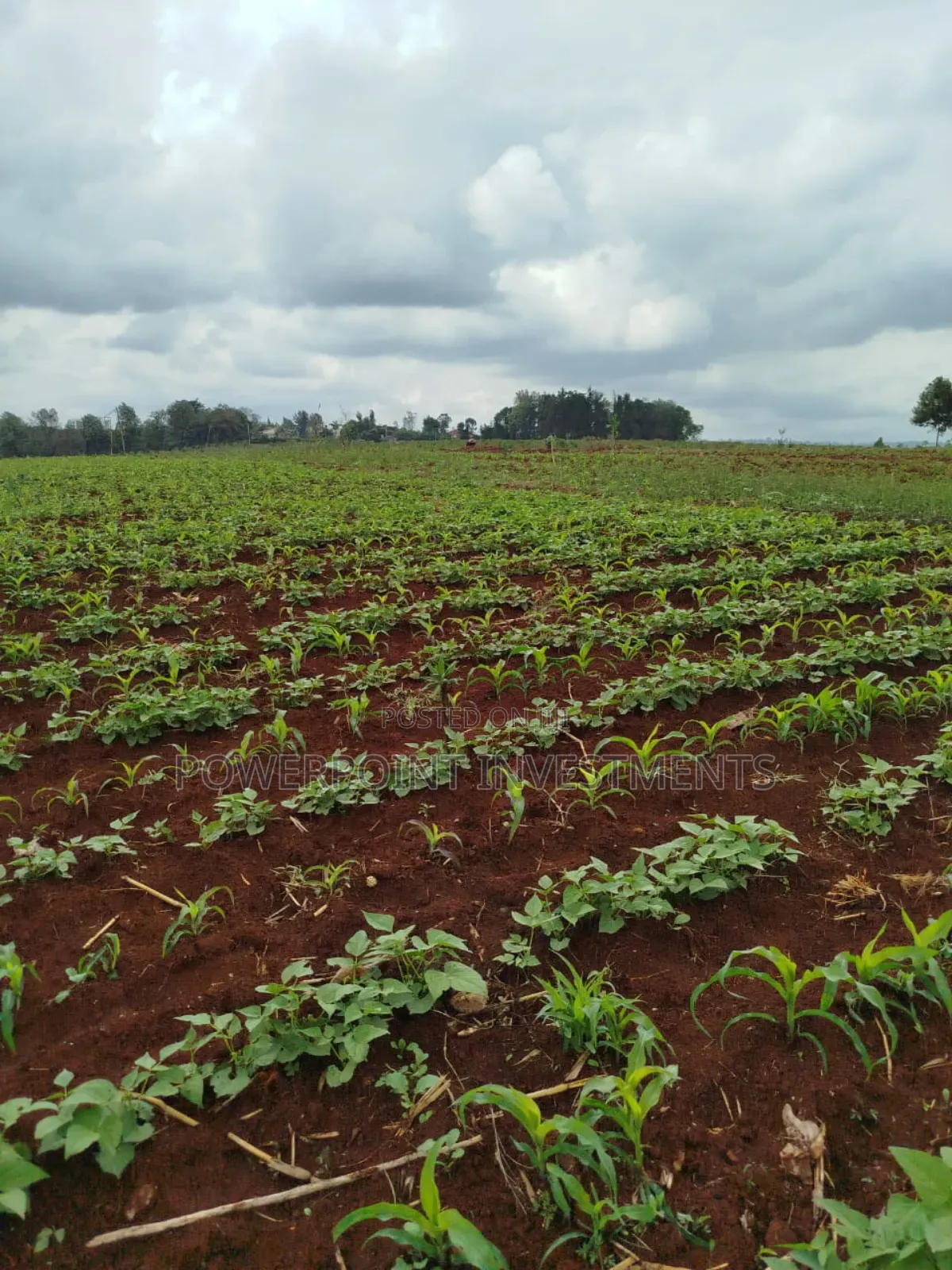 1 acre land for lease along the Northern Bypass near Two Rivers Mall, in Ruaka