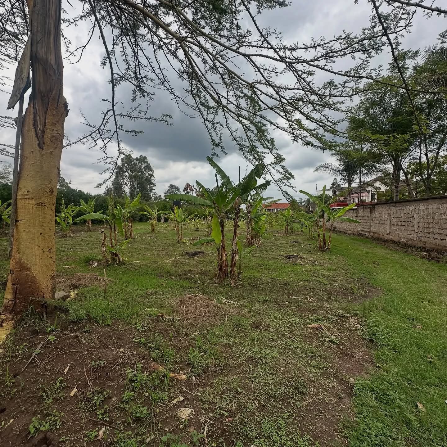 1 acre land for sale in Karen Image