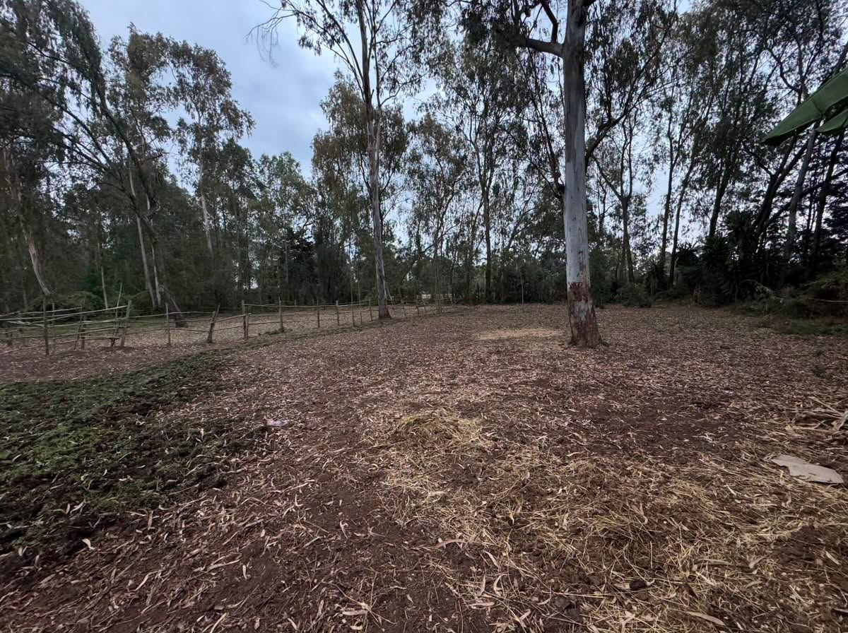 1 acre land for sale in karen Image