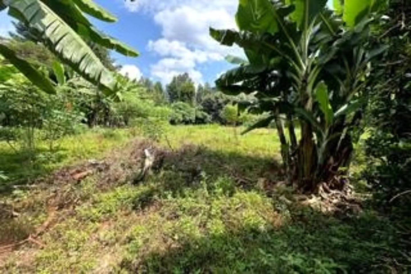 1 Acre land for Sale in Karen Image