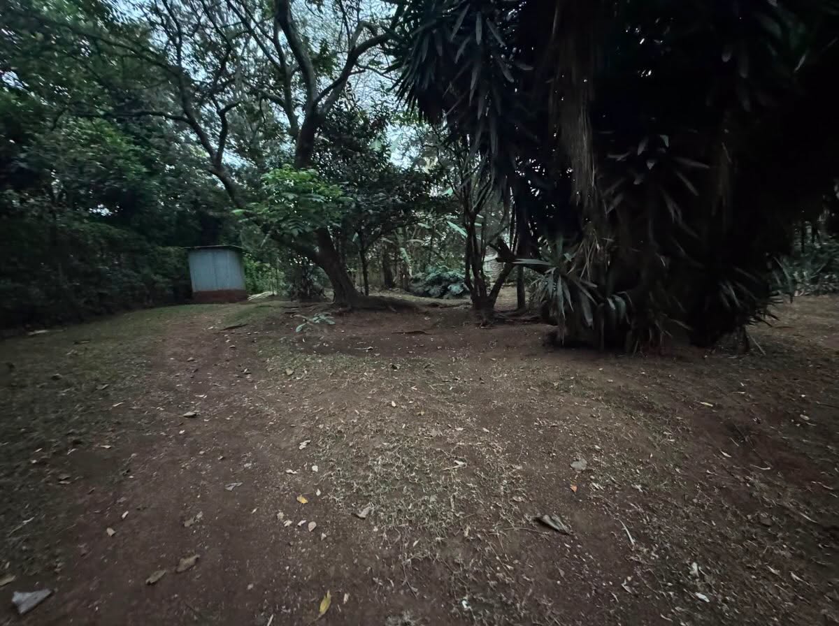 1 acre land for sale in karen