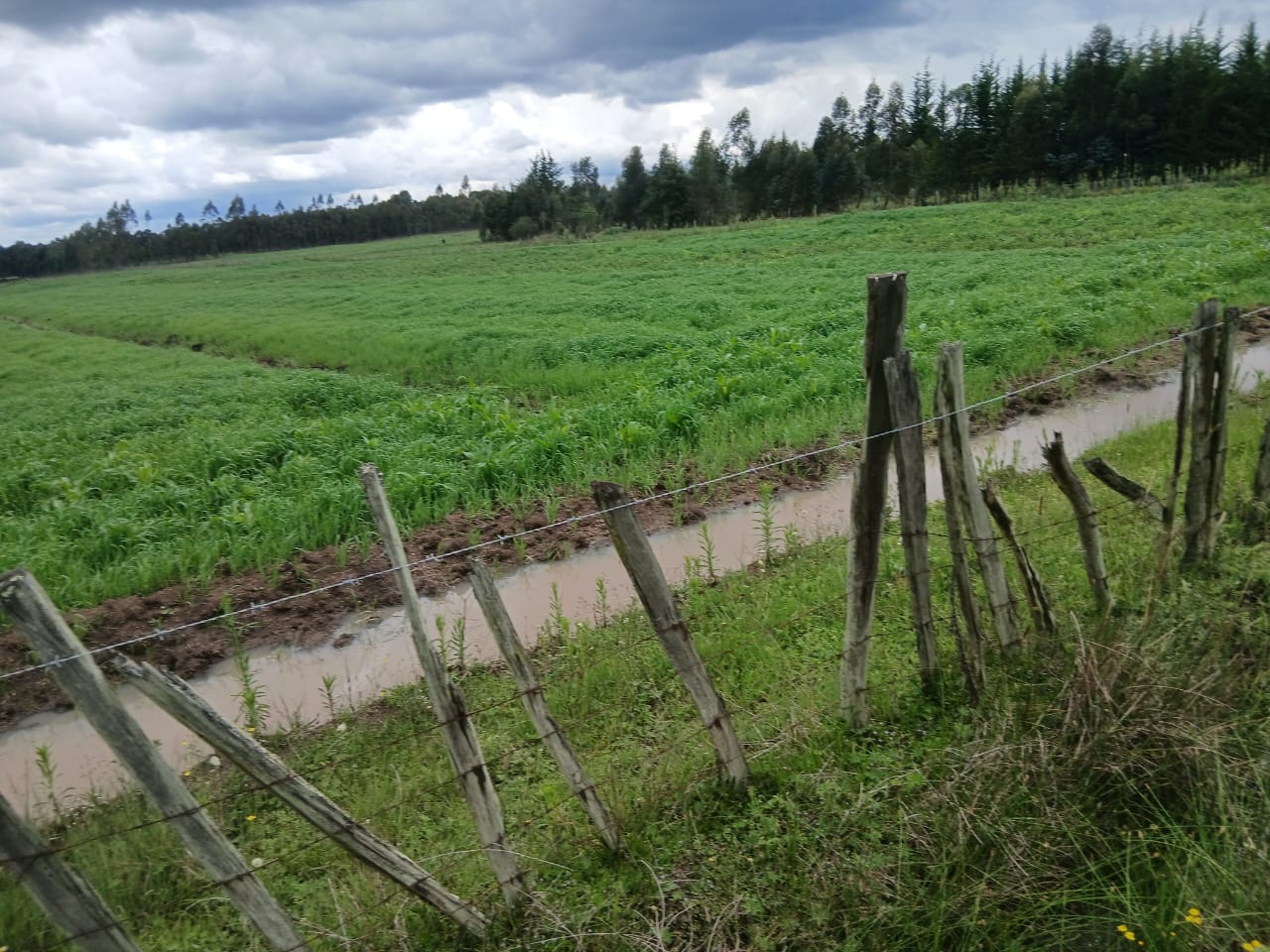 1 acre land for sale in Karen Image