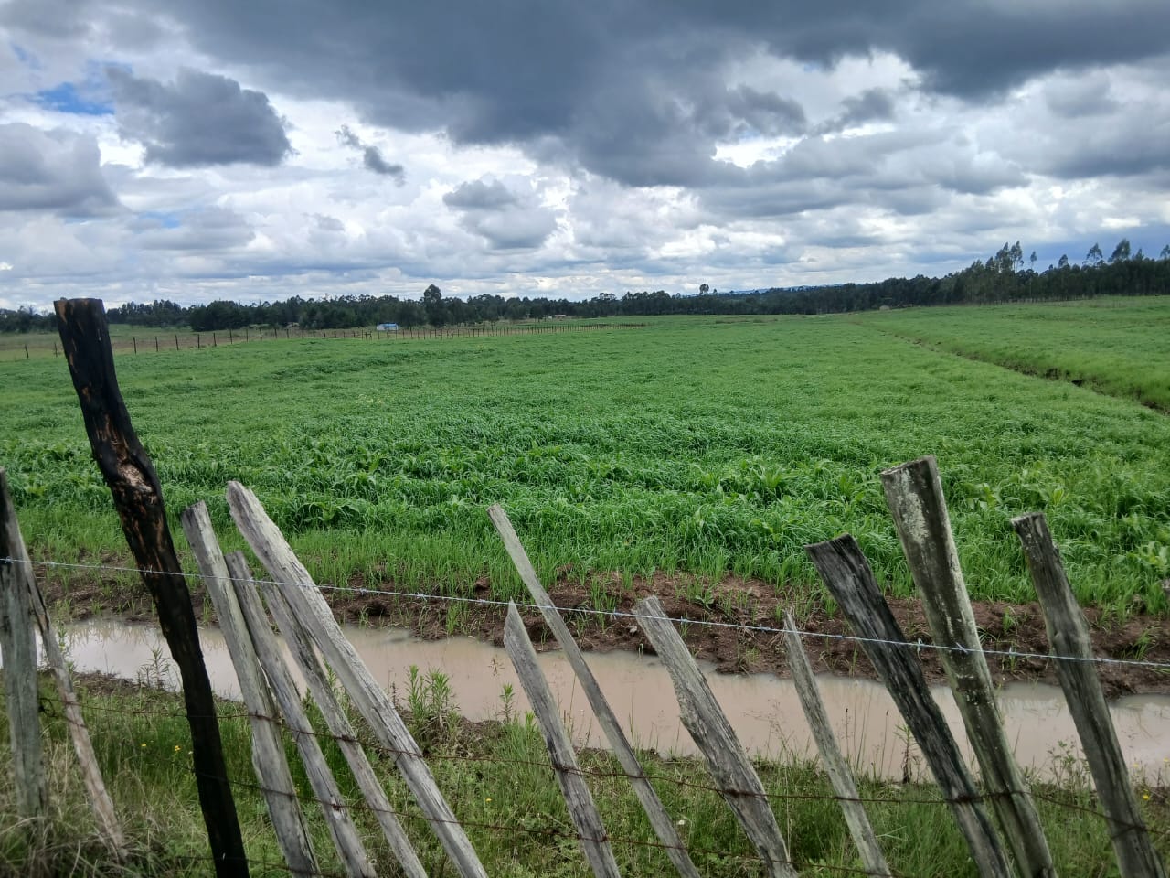 1 acre land for sale in Karen