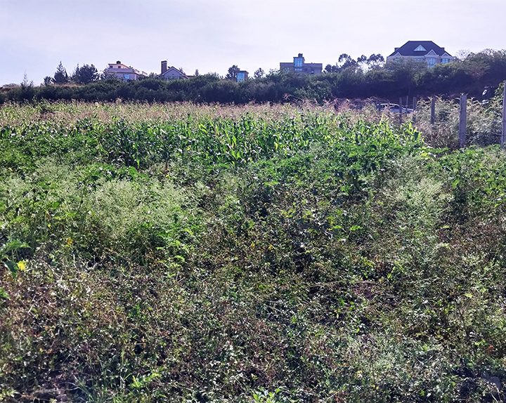 1 Acre Land for Sale in Matasia Image