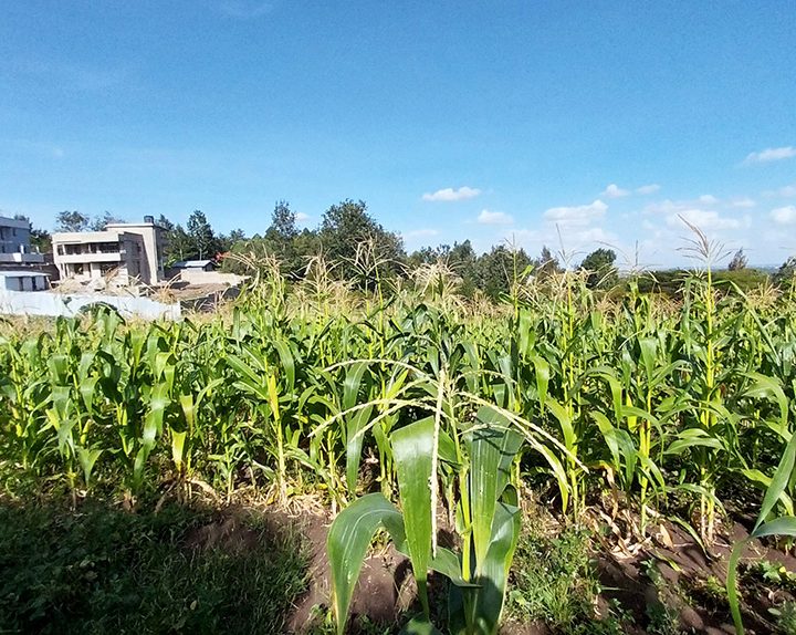 1 Acre Land for Sale in Matasia