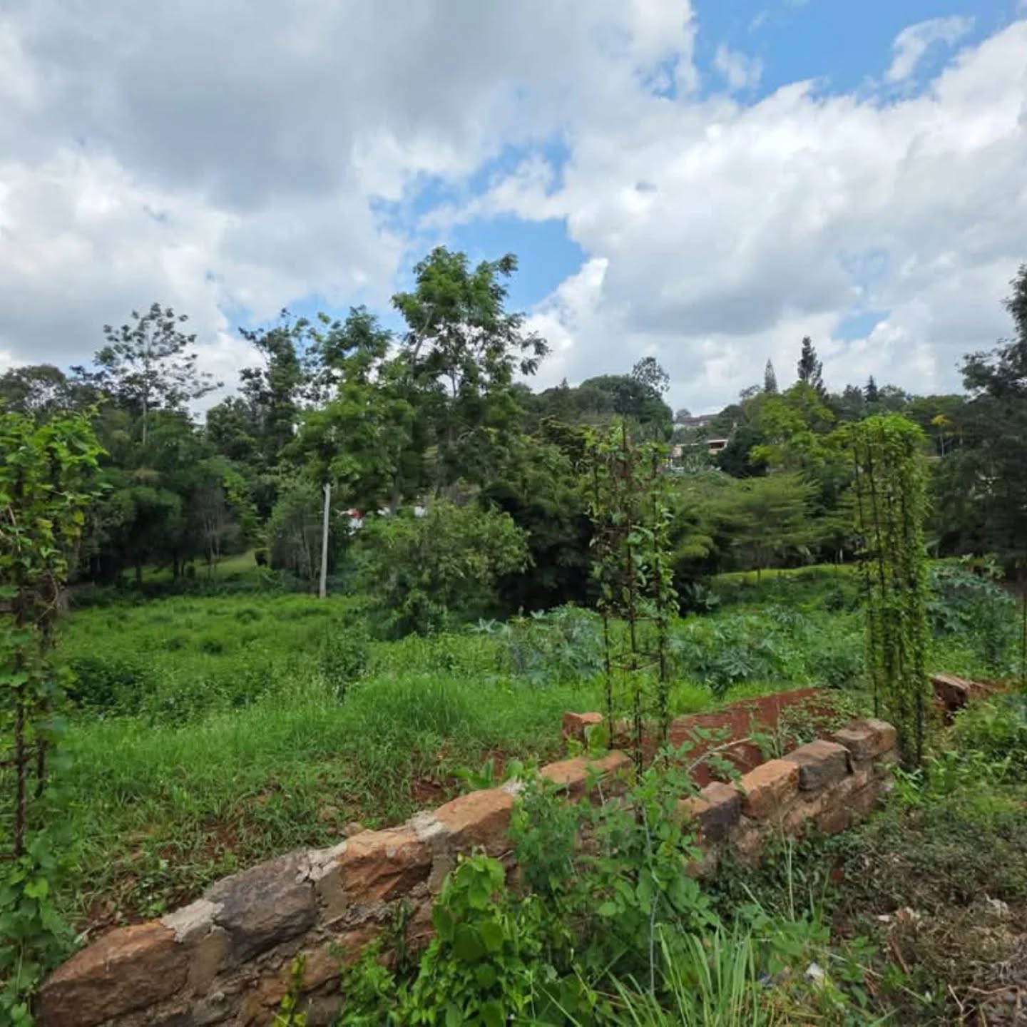 1 ACRE LAND FOR SALE IN THIGIRI RIDGE,NEW MUTHAIGA