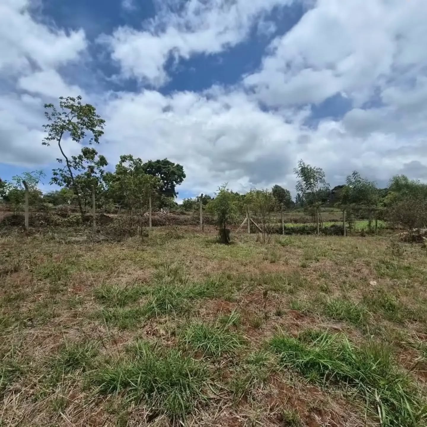1 acre land for sale in tigoni