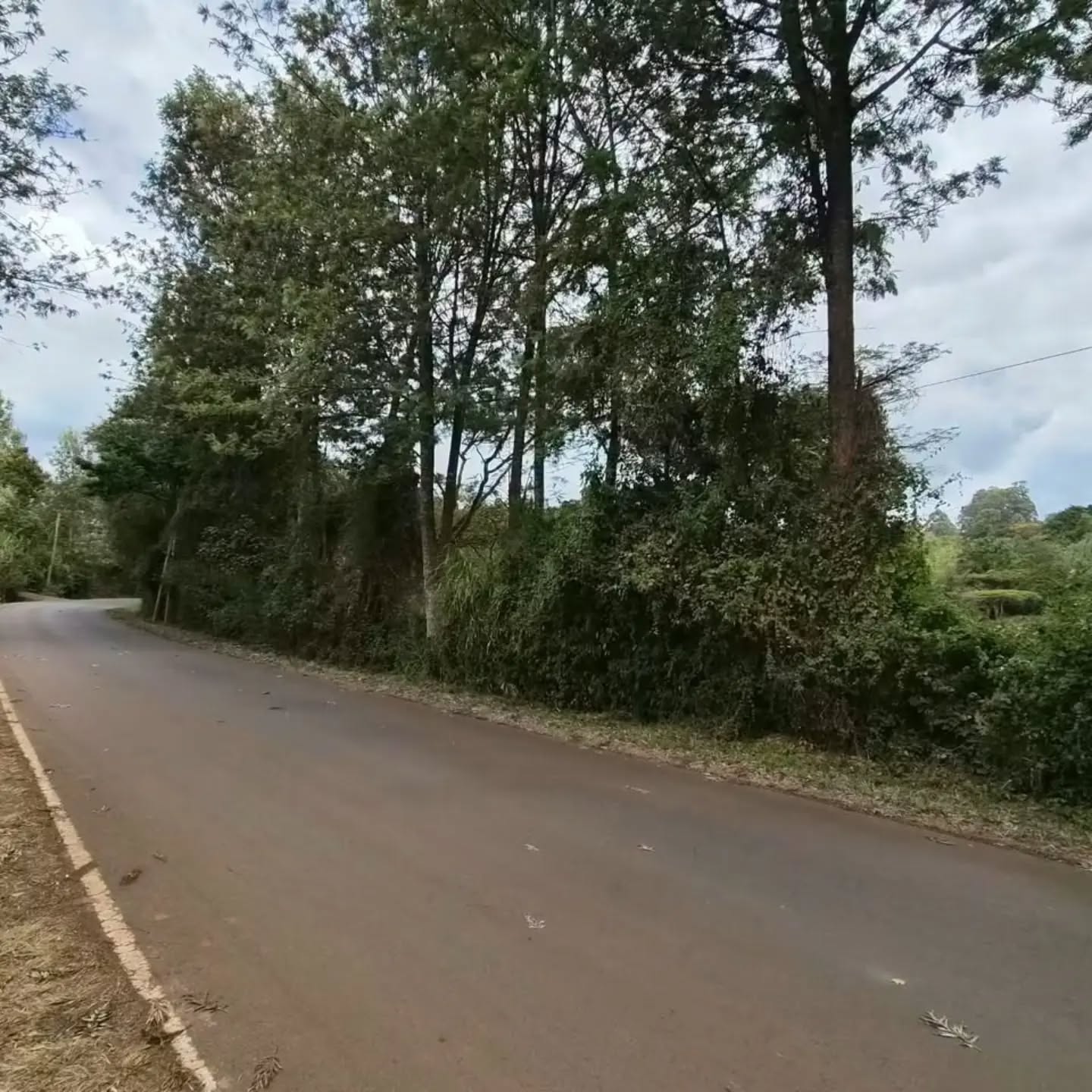 1 acre land for sale in tigoni, karambaini near limuru girls Image