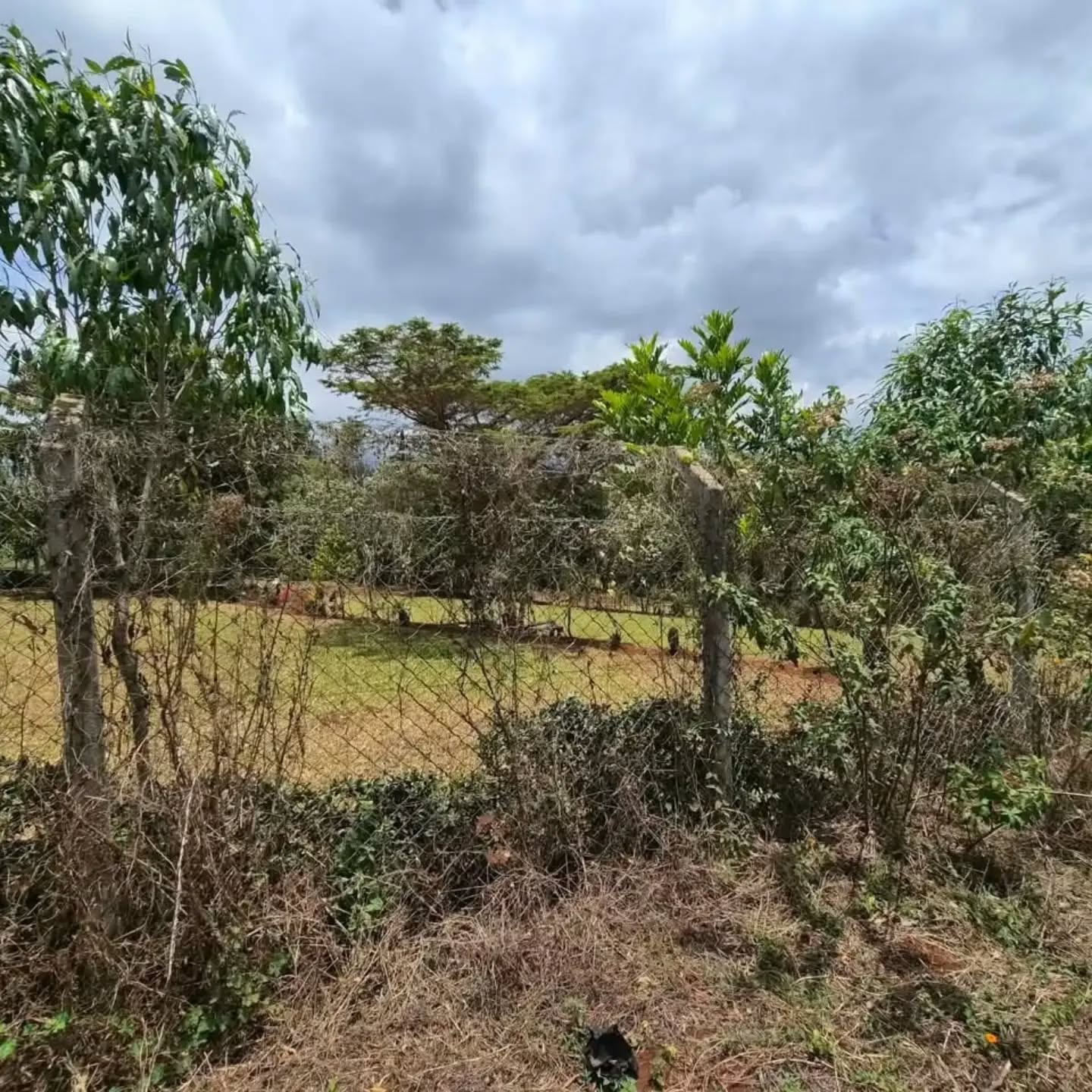 1 acre land for sale in tigoni Image