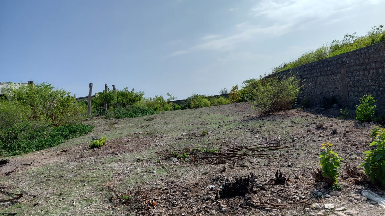 1 acre land on the beach for sale in Malindi Image