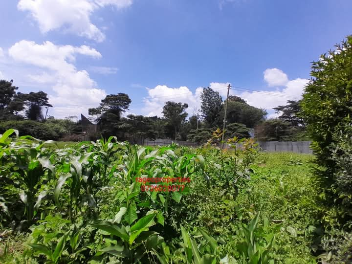 1 Acre Plot For Sale in Karen Image