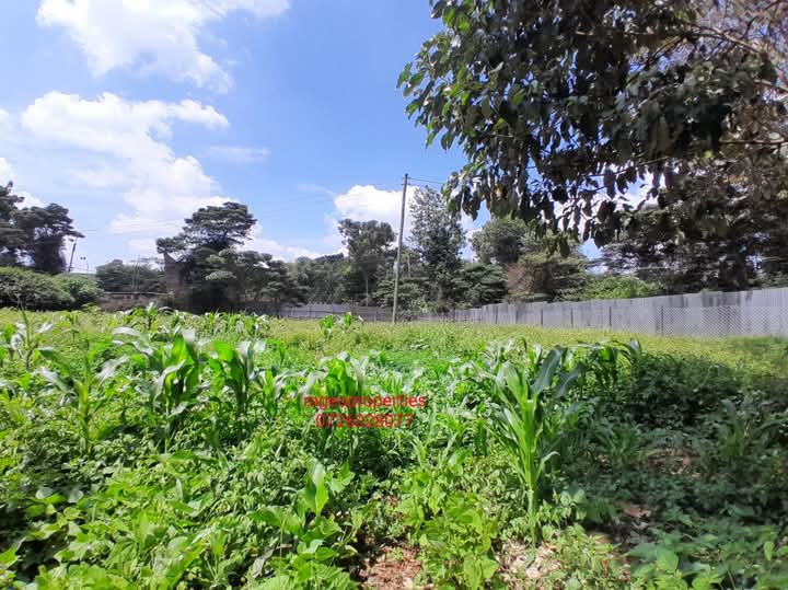 1 Acre Plot For Sale in Karen