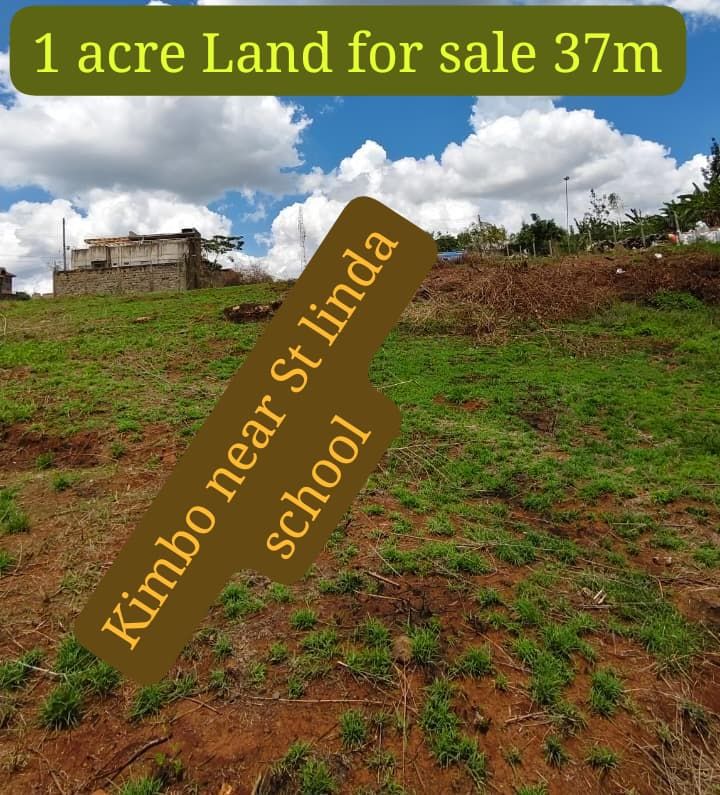 1 acre plot for sale in kimbo, kwa kairu