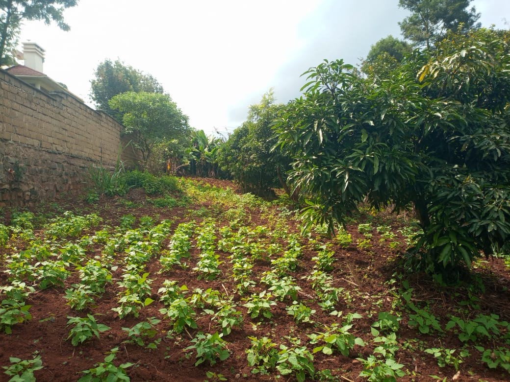 1 Acre Plot For Sale in Ngong vicinity Along Kerarapon drive rd