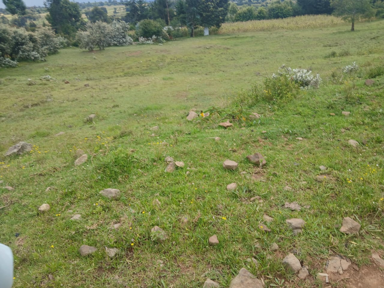 1 Acre Plot For Sale in Ol Kalau, Nyandarua Image