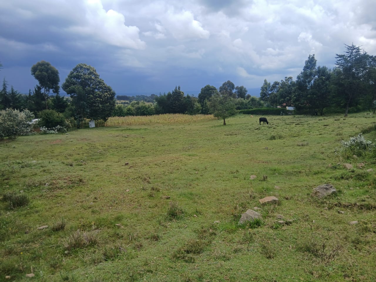 1 Acre Plot For Sale in Ol Kalau, Nyandarua Image