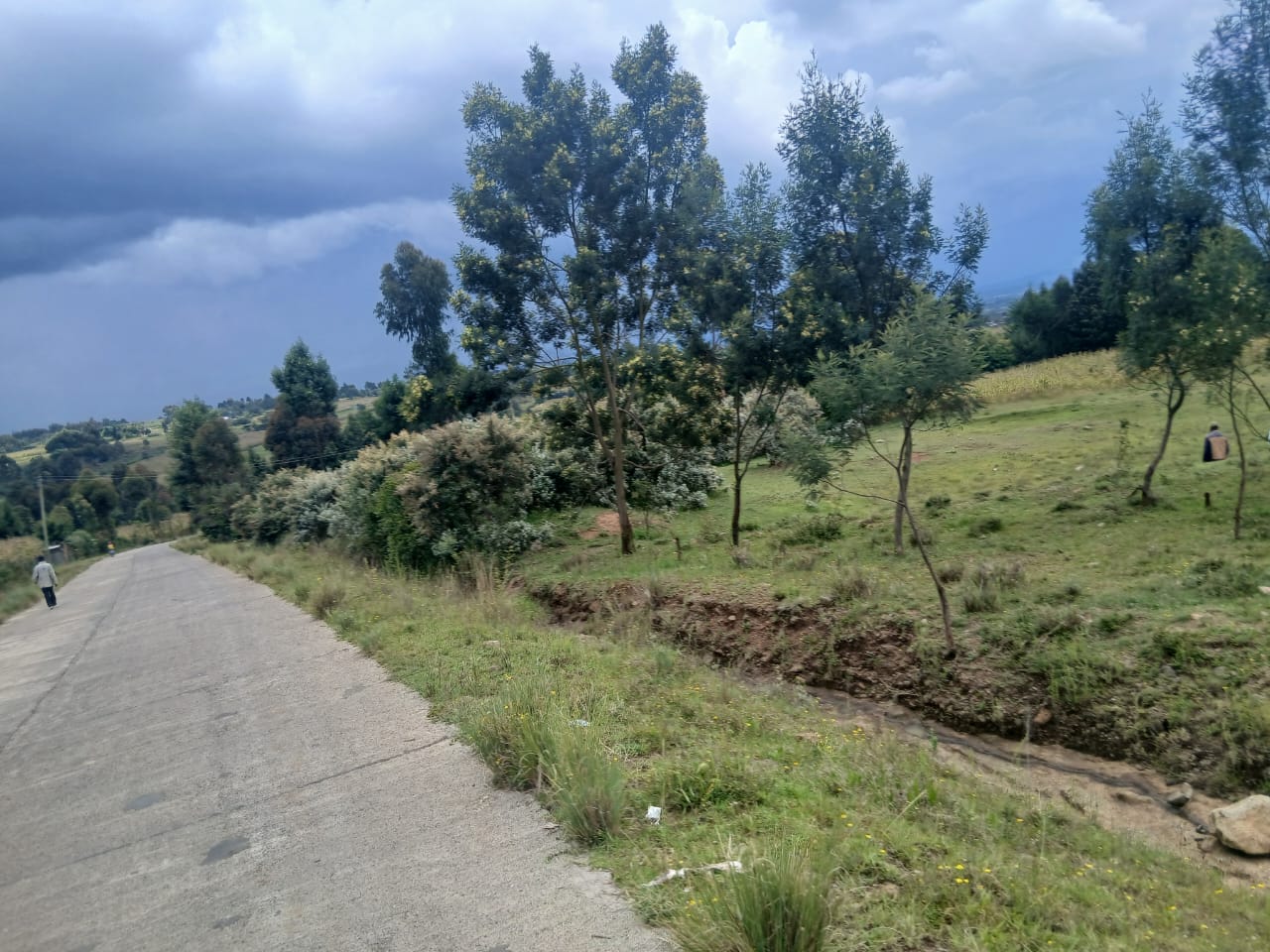 1 Acre Plot For Sale in Ol Kalau, Nyandarua