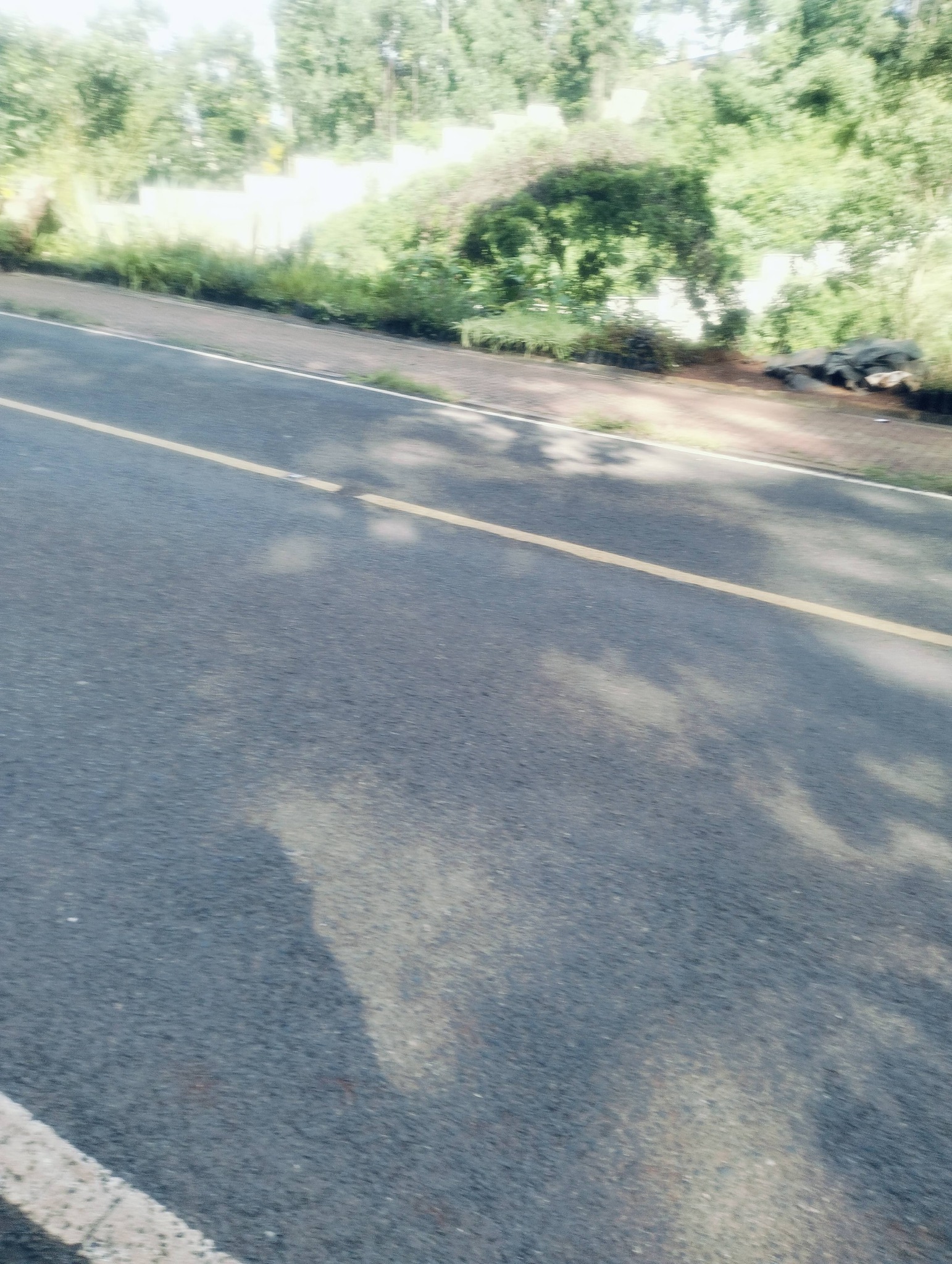 1 acre plot for sale in old kitisuru road