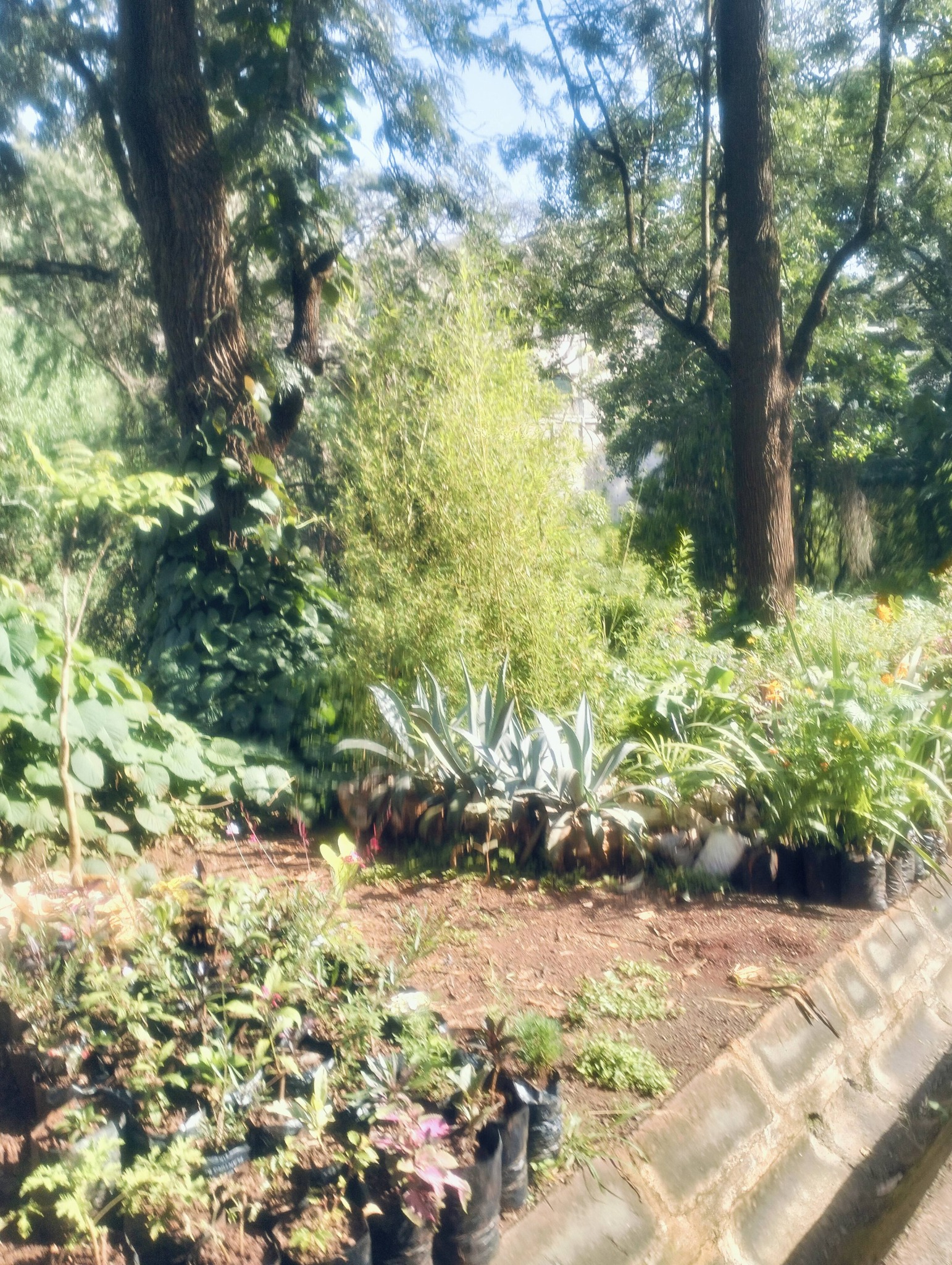 1 acre plot for sale in old kitisuru road Image