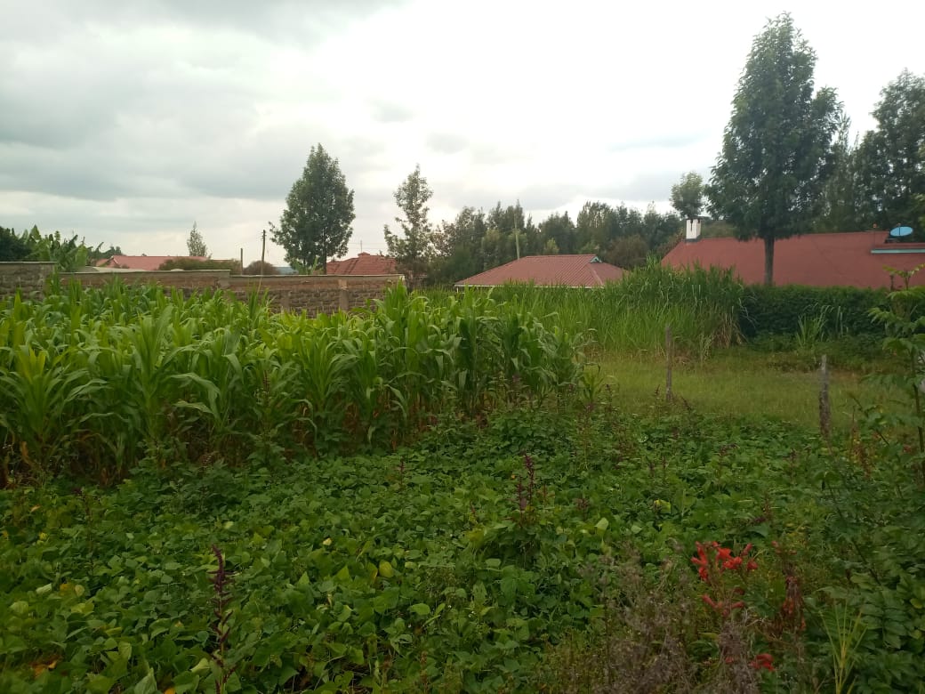 1 acre plot for sale in South C Image