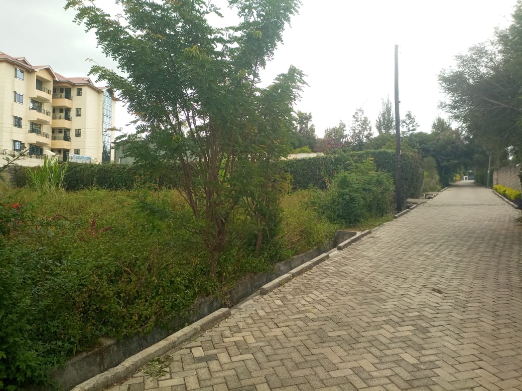 1 acre plot for sale in South C