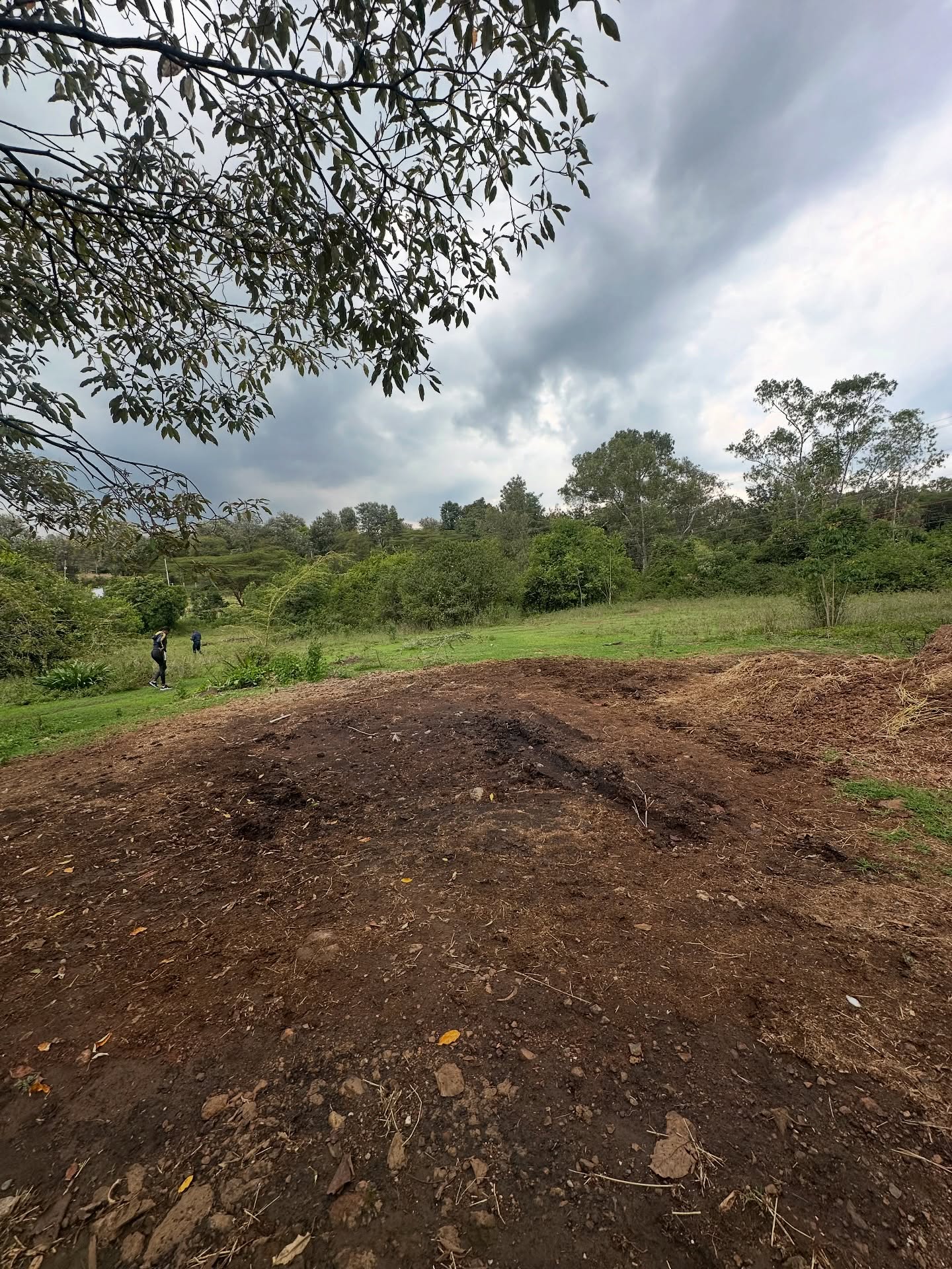 1 acre plots for sale in Karen Hardy Image