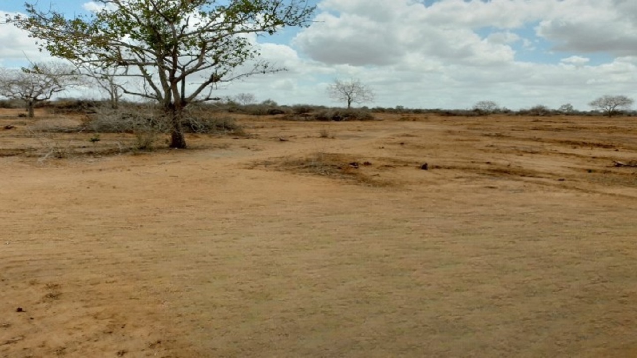1 Acre Plots for Sale in Malindi (Chakama)