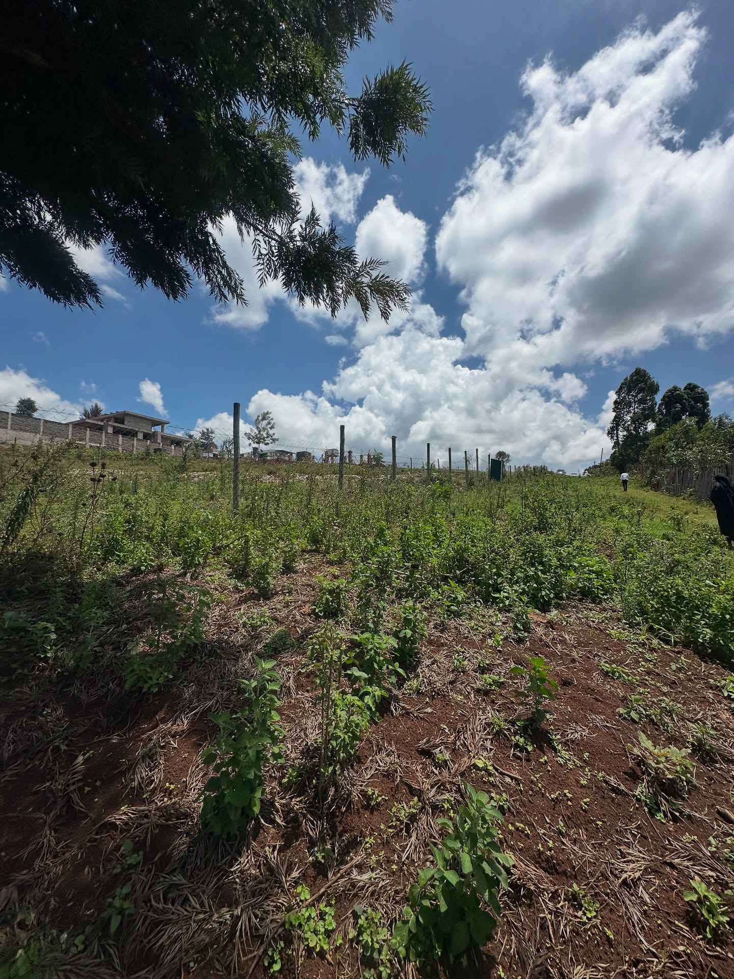 1 Acre Prime Land For Sale in Karen Image