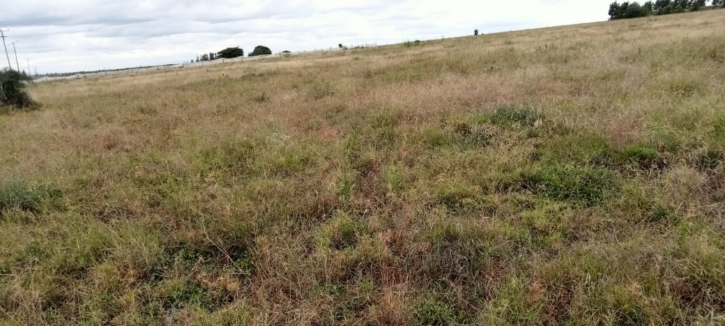 1 ACRES LAND FOR SALE IN ISINYA, KAJIADO COUNTY