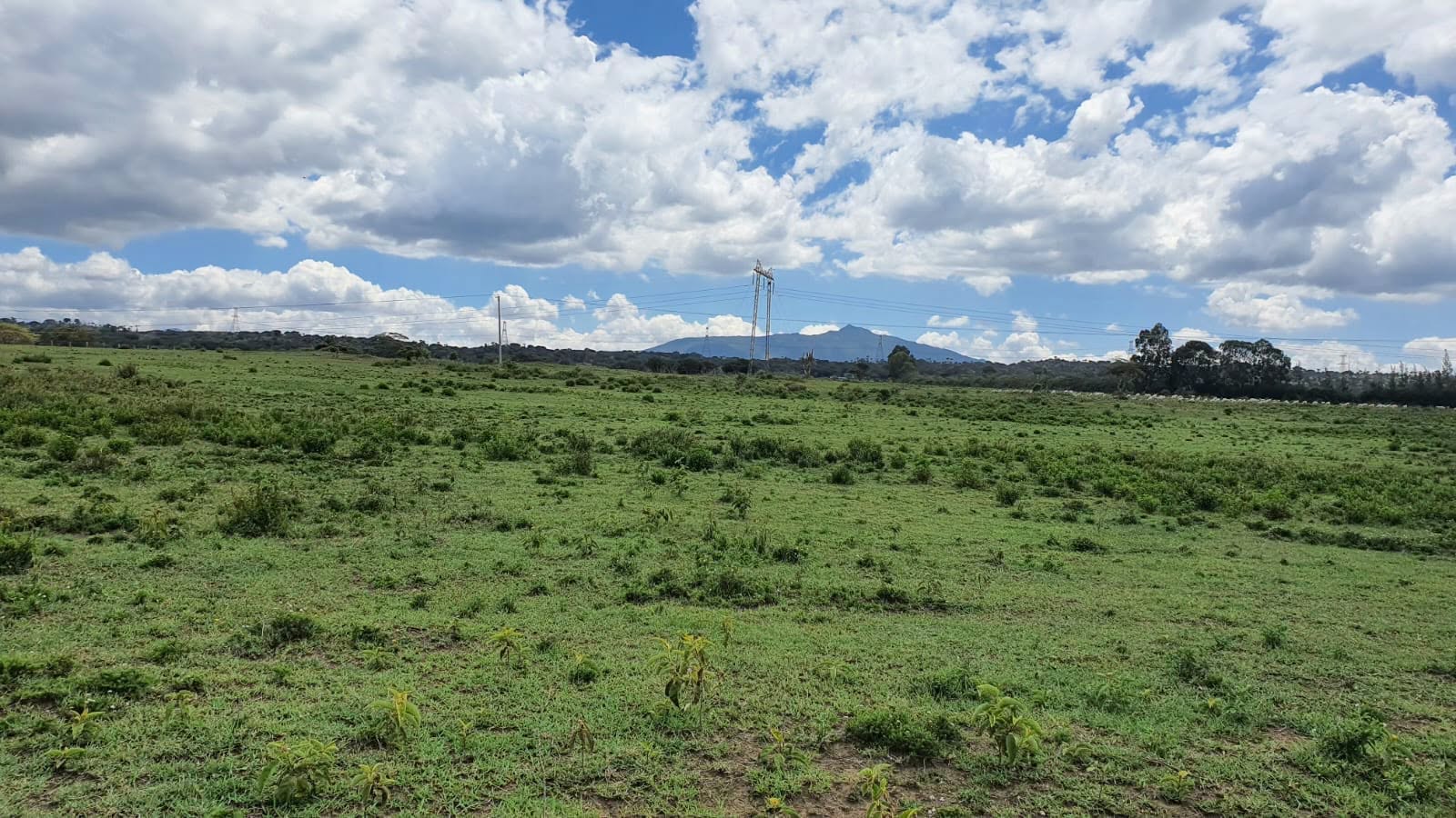 1 and 5 bedroom land for sale in Naivasha off moi south lake road Image