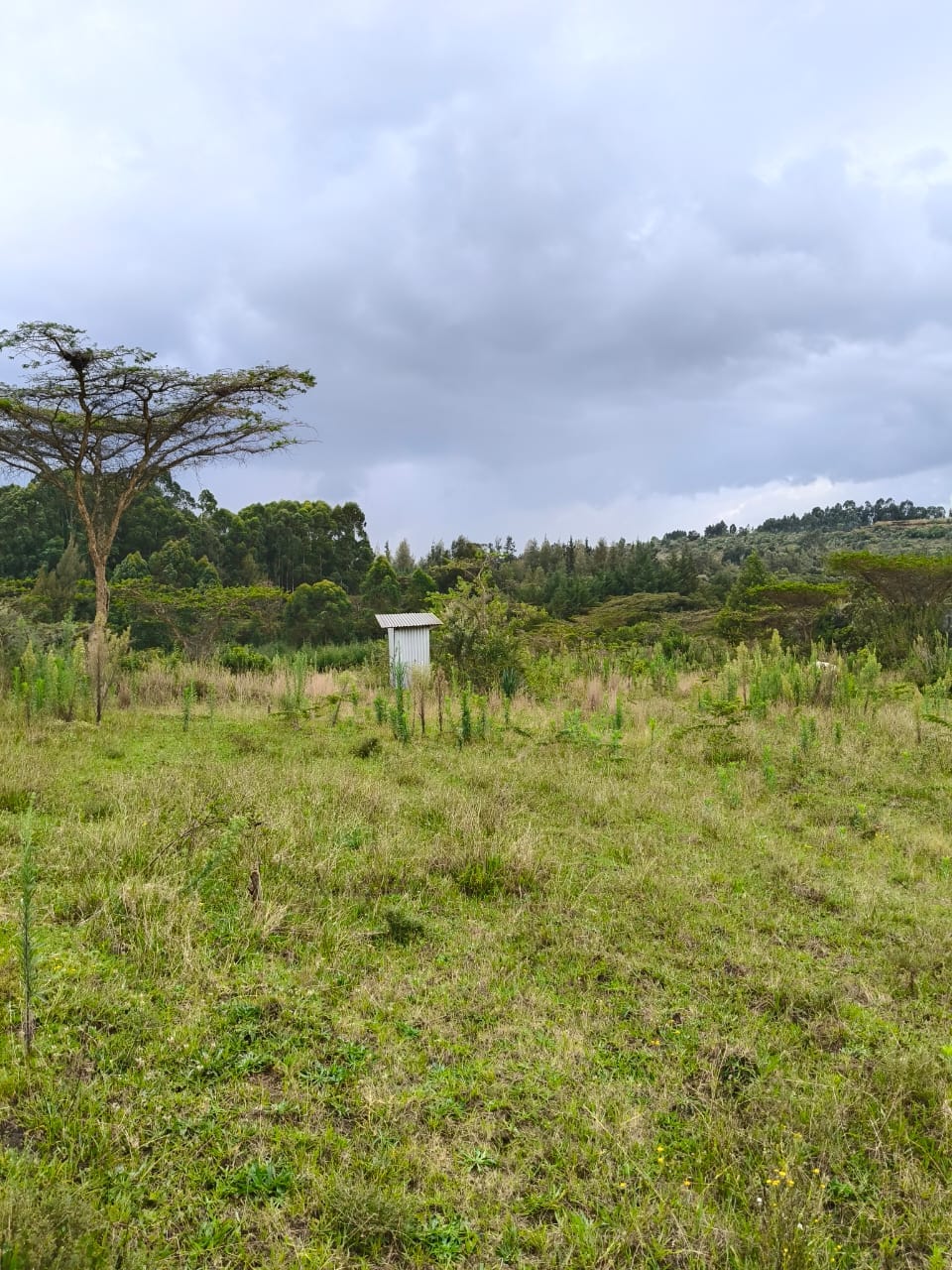 10 acre land for lease in gilgil Nakuru